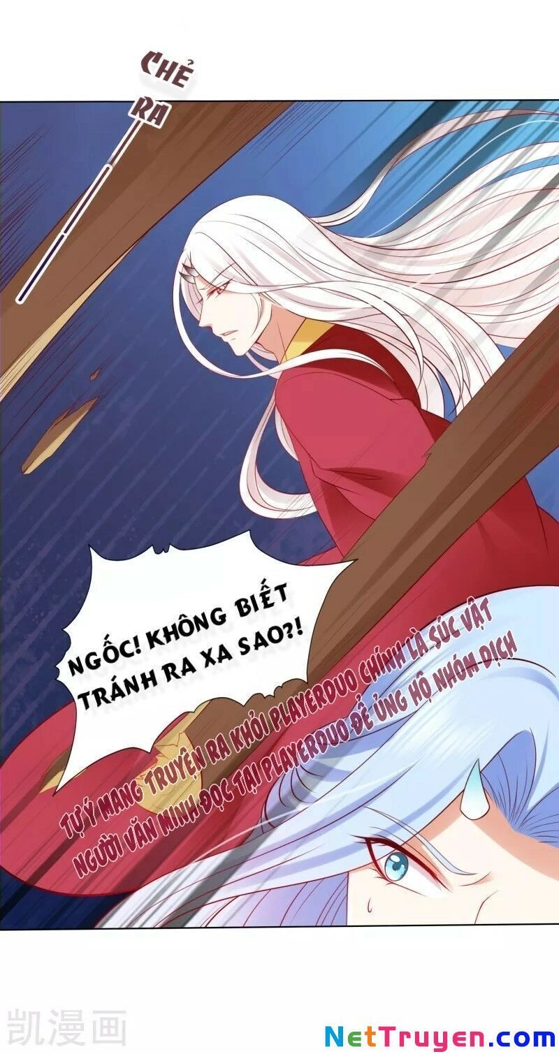 Sư Phụ, Cái Kia Ăn Ngon! Chapter 51 - 13