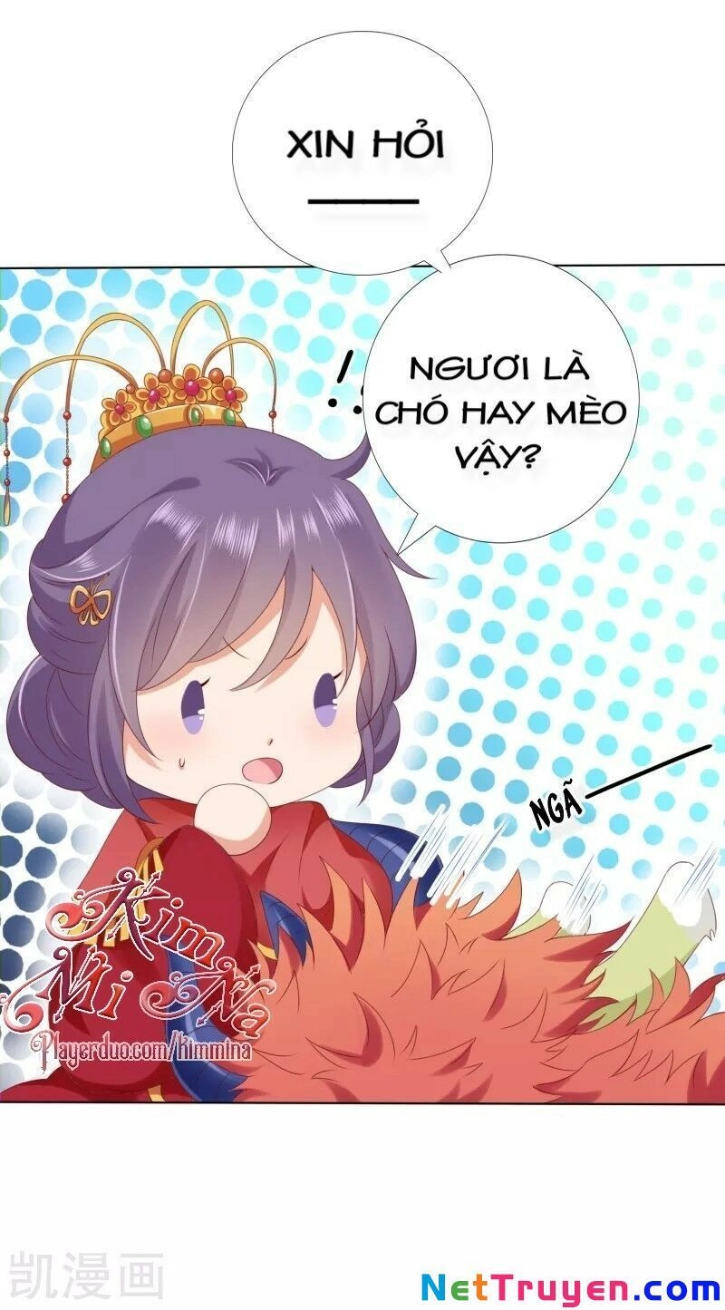 Sư Phụ, Cái Kia Ăn Ngon! Chapter 53 - 5