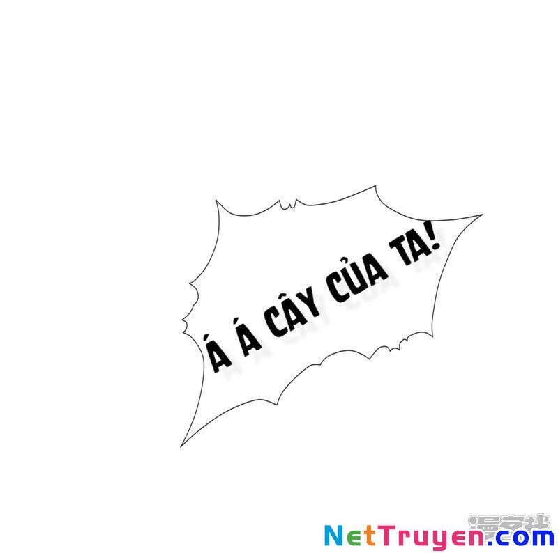 Sư Phụ, Cái Kia Ăn Ngon! Chapter 56 - 7