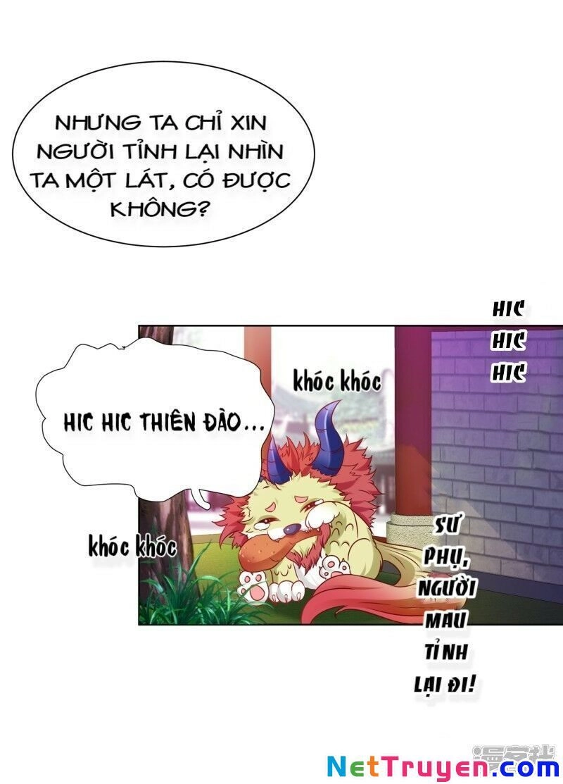 Sư Phụ, Cái Kia Ăn Ngon! Chapter 56 - 29