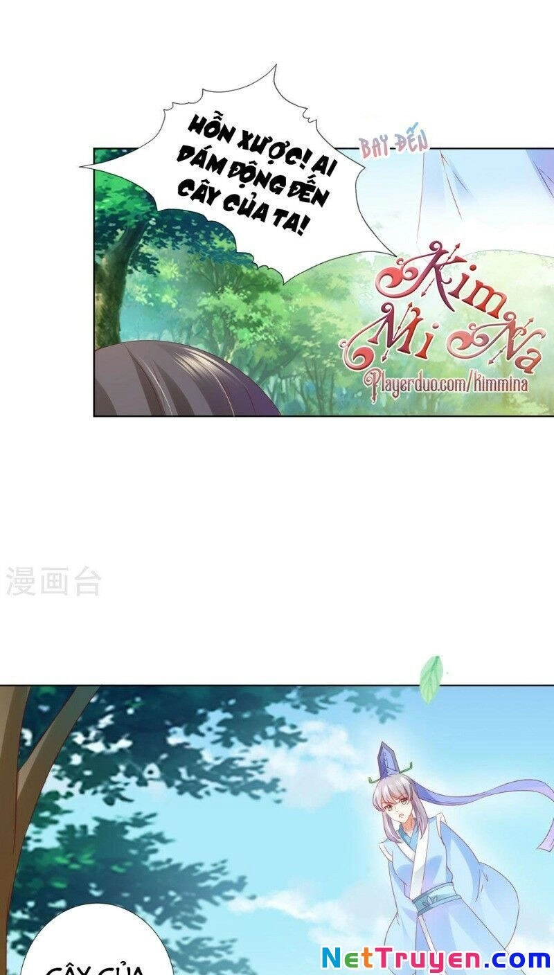 Sư Phụ, Cái Kia Ăn Ngon! Chapter 60 - 12