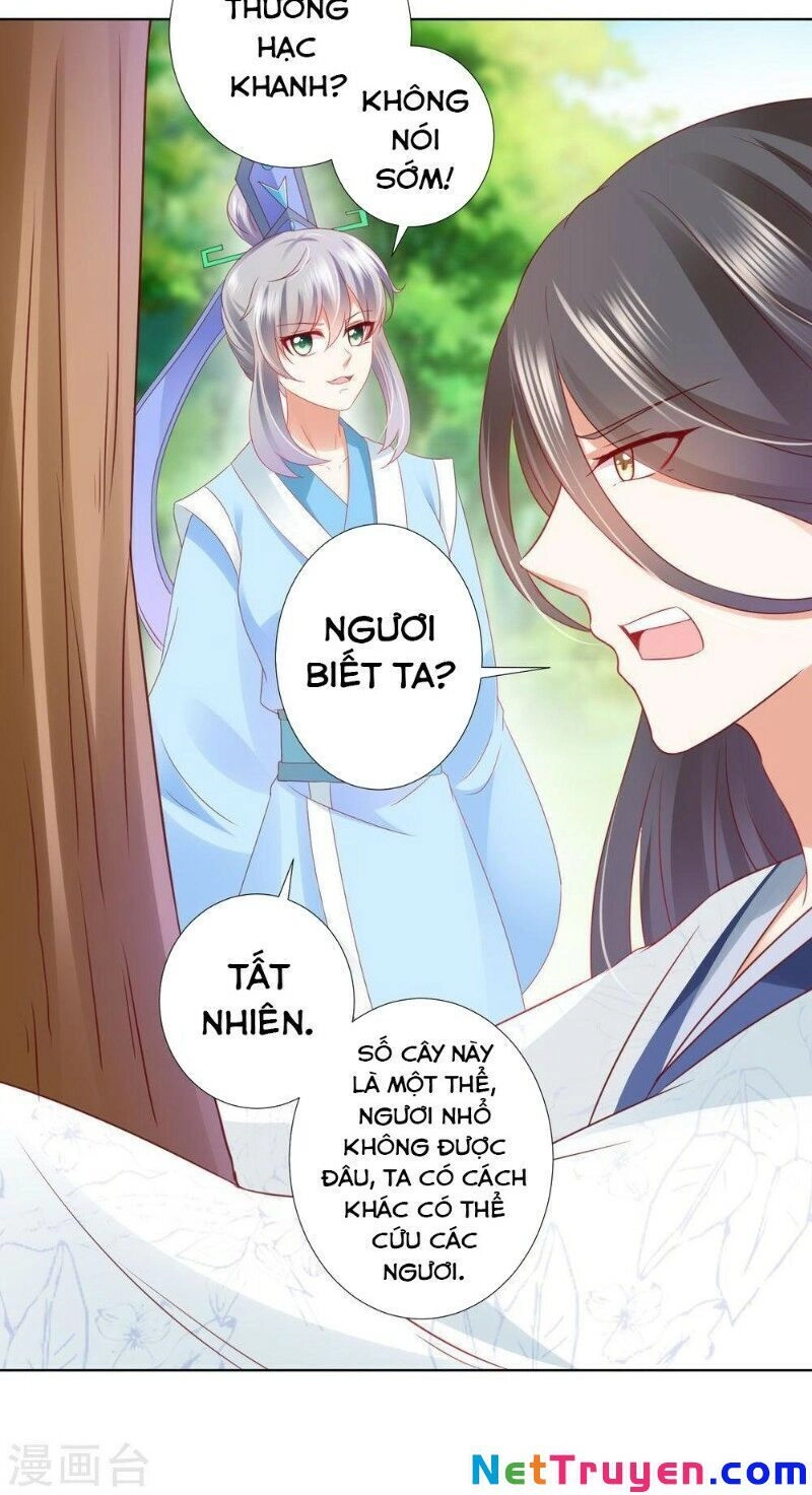 Sư Phụ, Cái Kia Ăn Ngon! Chapter 60 - 15