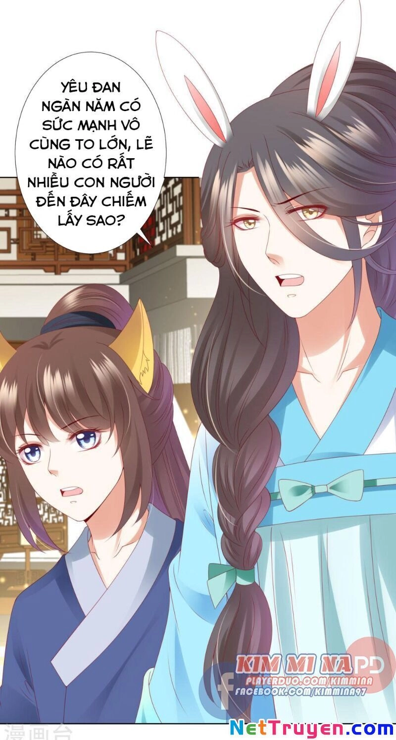 Sư Phụ, Cái Kia Ăn Ngon! Chapter 66 - 21