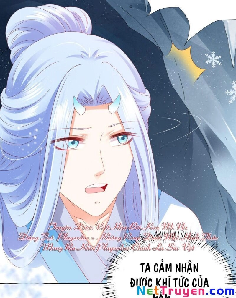 Sư Phụ, Cái Kia Ăn Ngon! Chapter 68 - 21