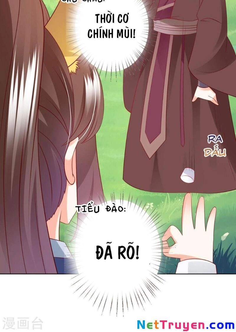 Sư Phụ, Cái Kia Ăn Ngon! Chapter 69 - 29