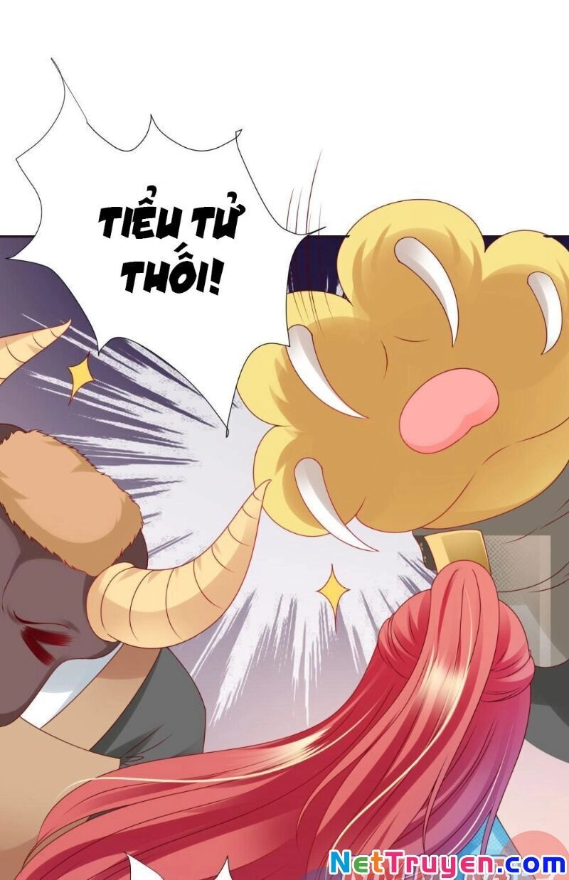 Sư Phụ, Cái Kia Ăn Ngon! Chapter 70 - 6