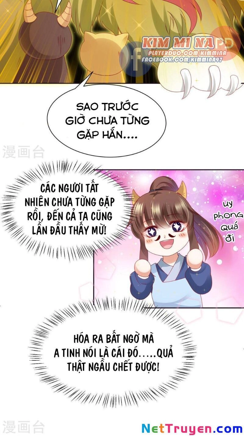 Sư Phụ, Cái Kia Ăn Ngon! Chapter 70 - 9
