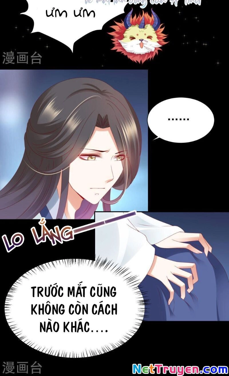 Sư Phụ, Cái Kia Ăn Ngon! Chapter 70 - 21