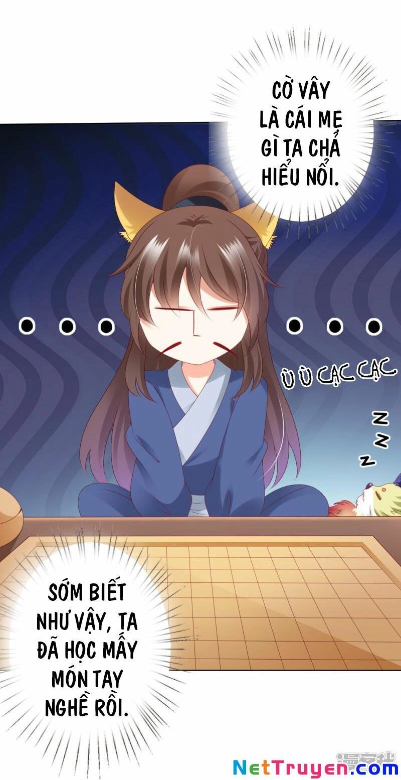 Sư Phụ, Cái Kia Ăn Ngon! Chapter 72 - 3