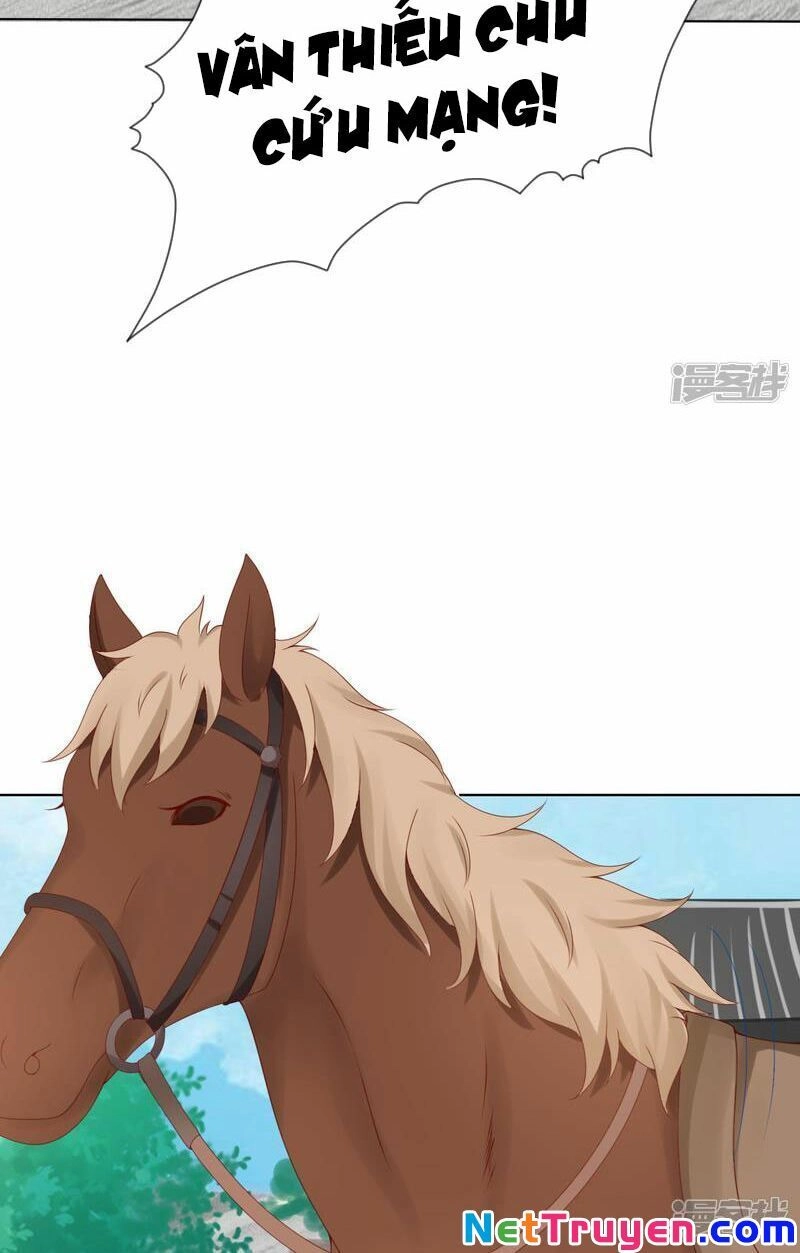 Sư Phụ, Cái Kia Ăn Ngon! Chapter 73 - 18