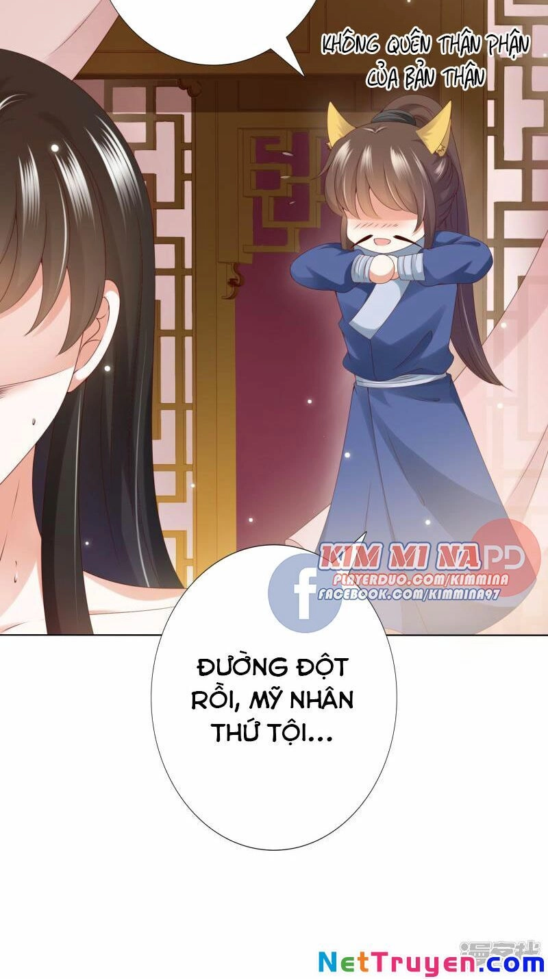 Sư Phụ, Cái Kia Ăn Ngon! Chapter 75 - 11