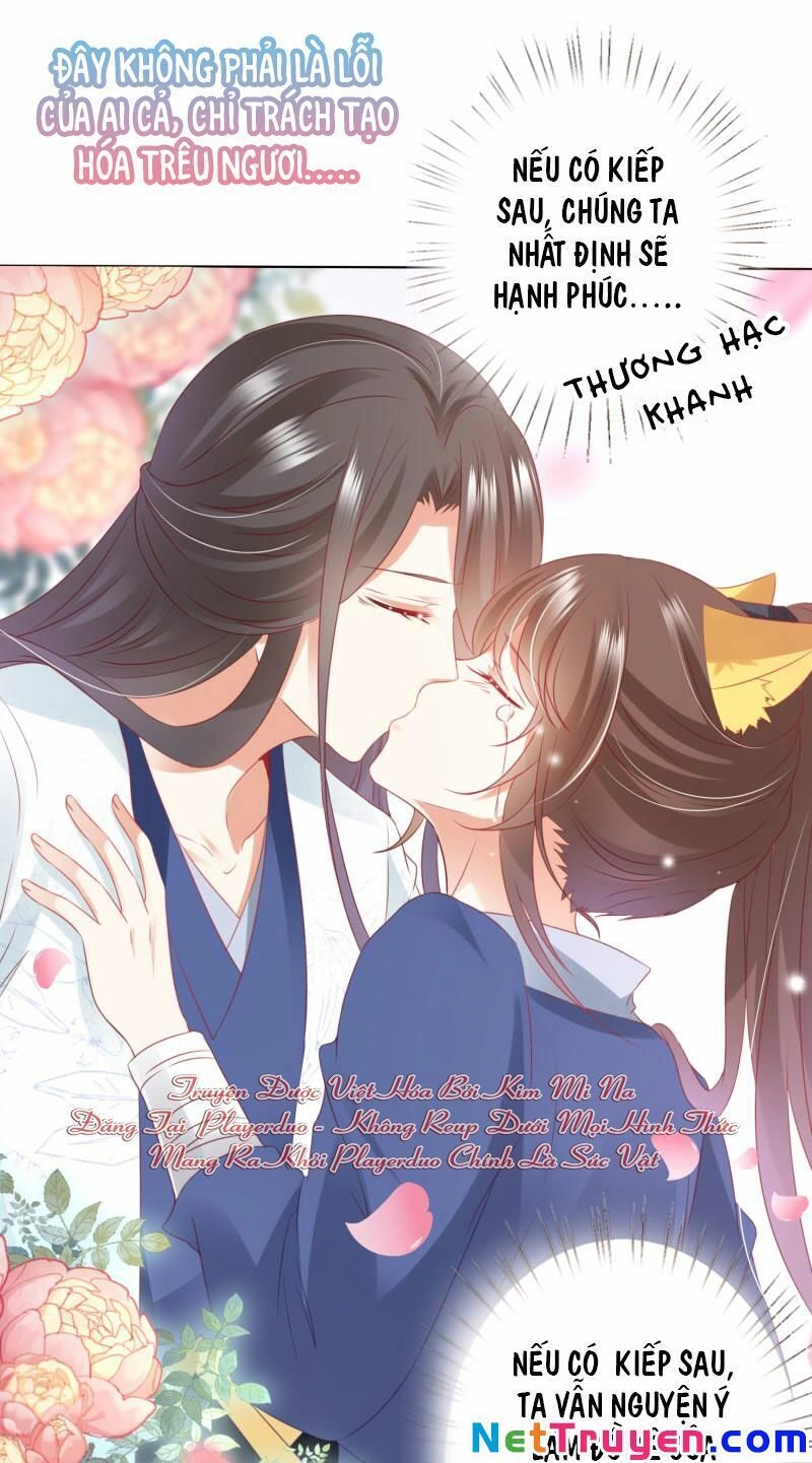 Sư Phụ, Cái Kia Ăn Ngon! Chapter 79 - 14