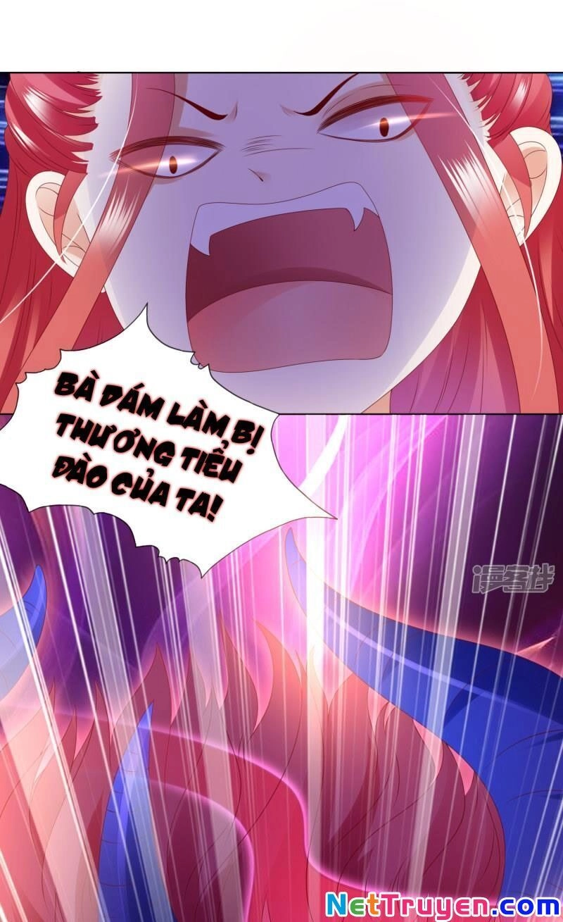 Sư Phụ, Cái Kia Ăn Ngon! Chapter 79 - 20