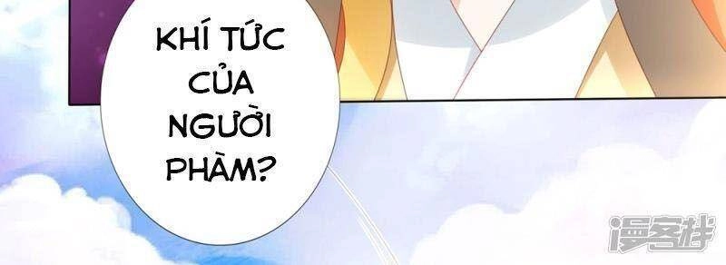 Sư Phụ, Cái Kia Ăn Ngon! Chapter 92 - 8