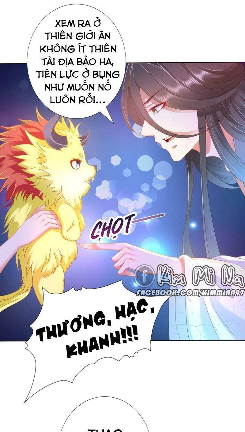 Sư Phụ, Cái Kia Ăn Ngon! Chapter 99 - 32