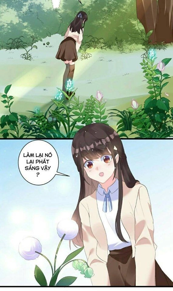 Vương Phi Có Độc! Chapter 1 - 3