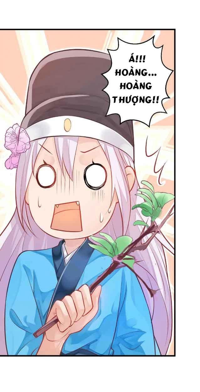 Bệ Hạ Xin Tự Trọng Chapter 9 - 5