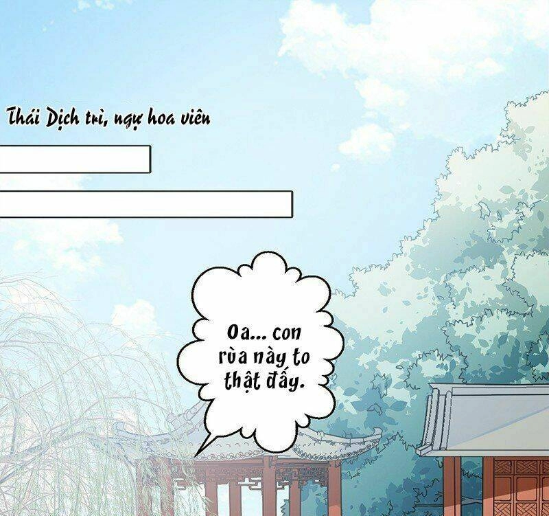 Bệ Hạ Xin Tự Trọng Chapter 16 - 3