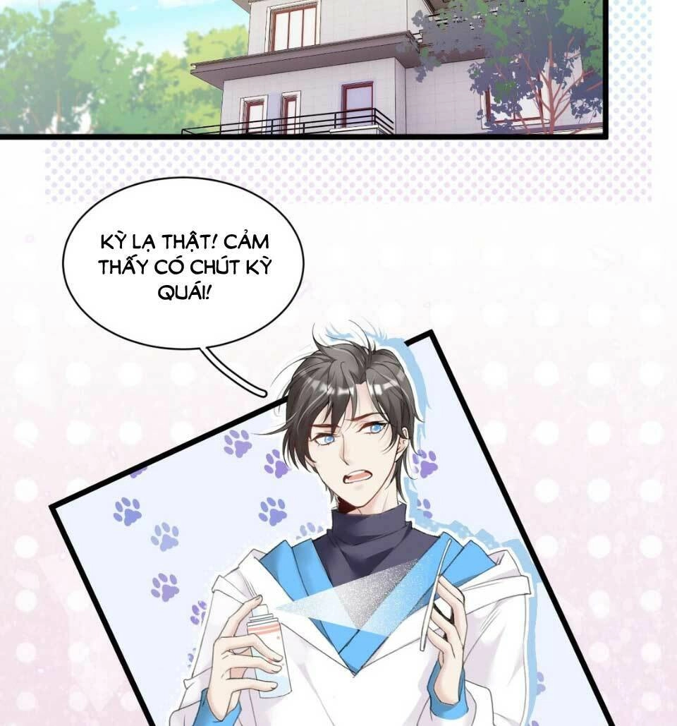 Dù Là Sói Cô Độc Cũng Có Tình Yêu Của Sẻ Nhỏ Chapter 5 - 21