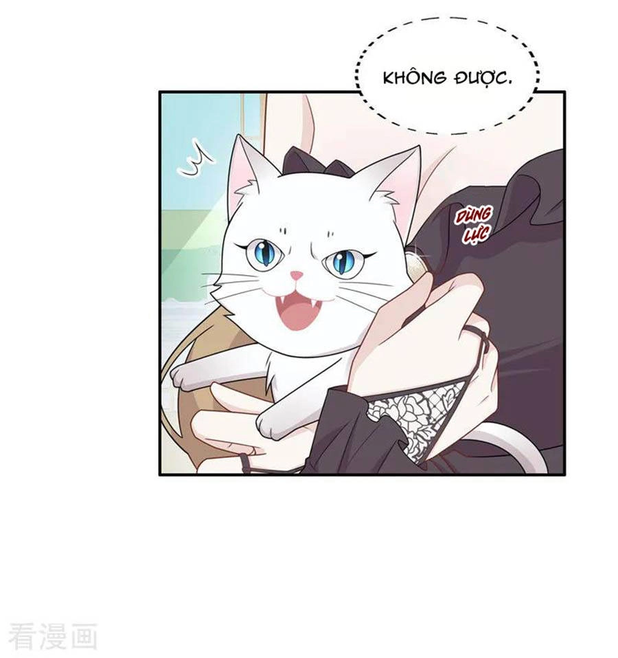 Thiên Kim Bất Lương Chapter 52 - 19