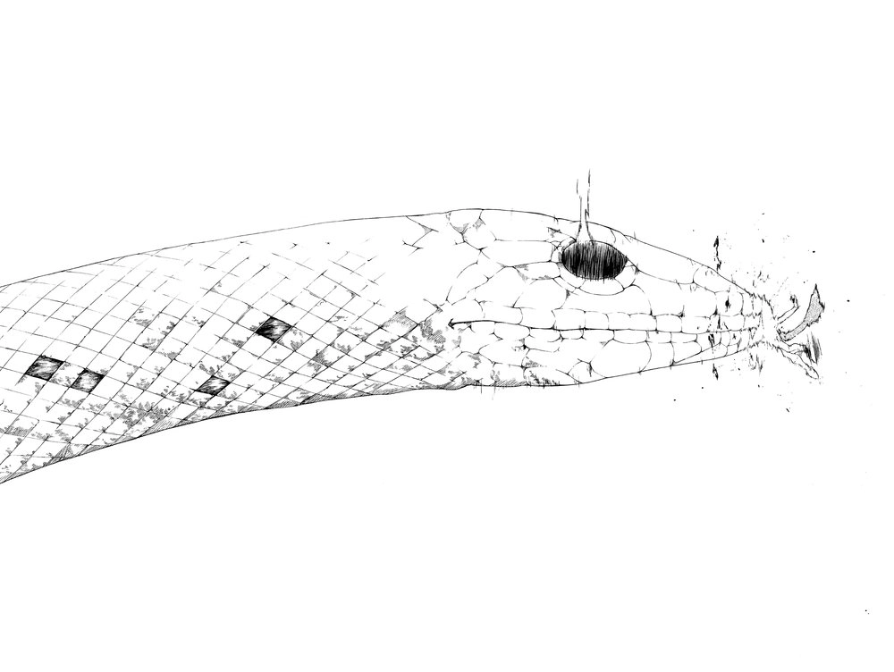 Yozakura Quartet Chapter 89 - 33