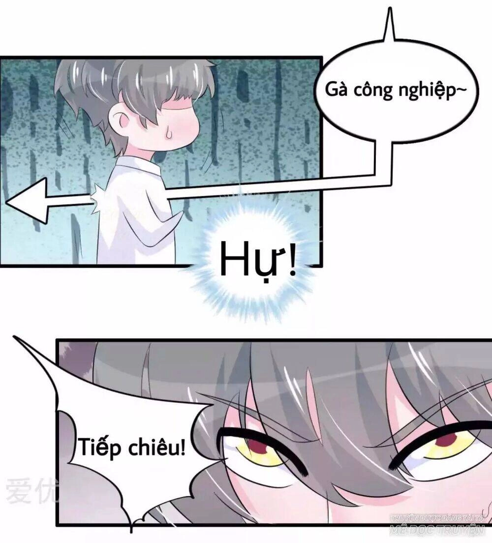 Tôi Vốn Dĩ Bị Bệnh Kiều Chapter 52 - 11