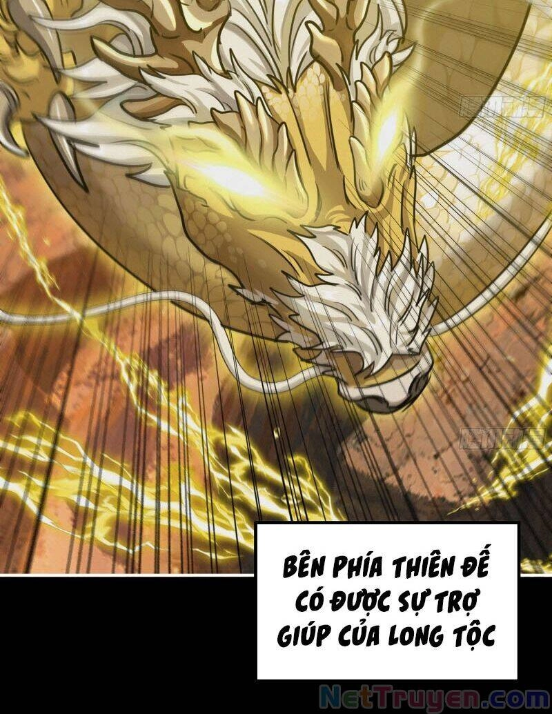 Khởi Đầu Bằng Một Con Côn Chapter 163 - 23