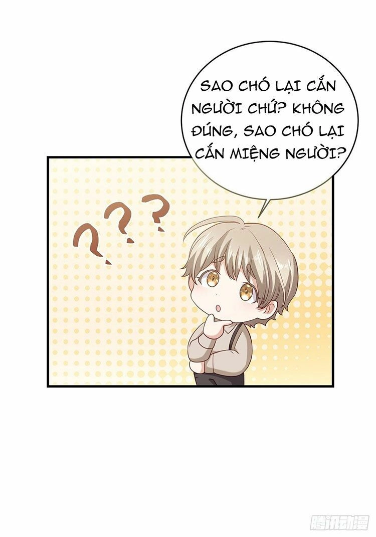 Tần Tưởng Thịnh Gả Cho Anh Chapter 21 - 30