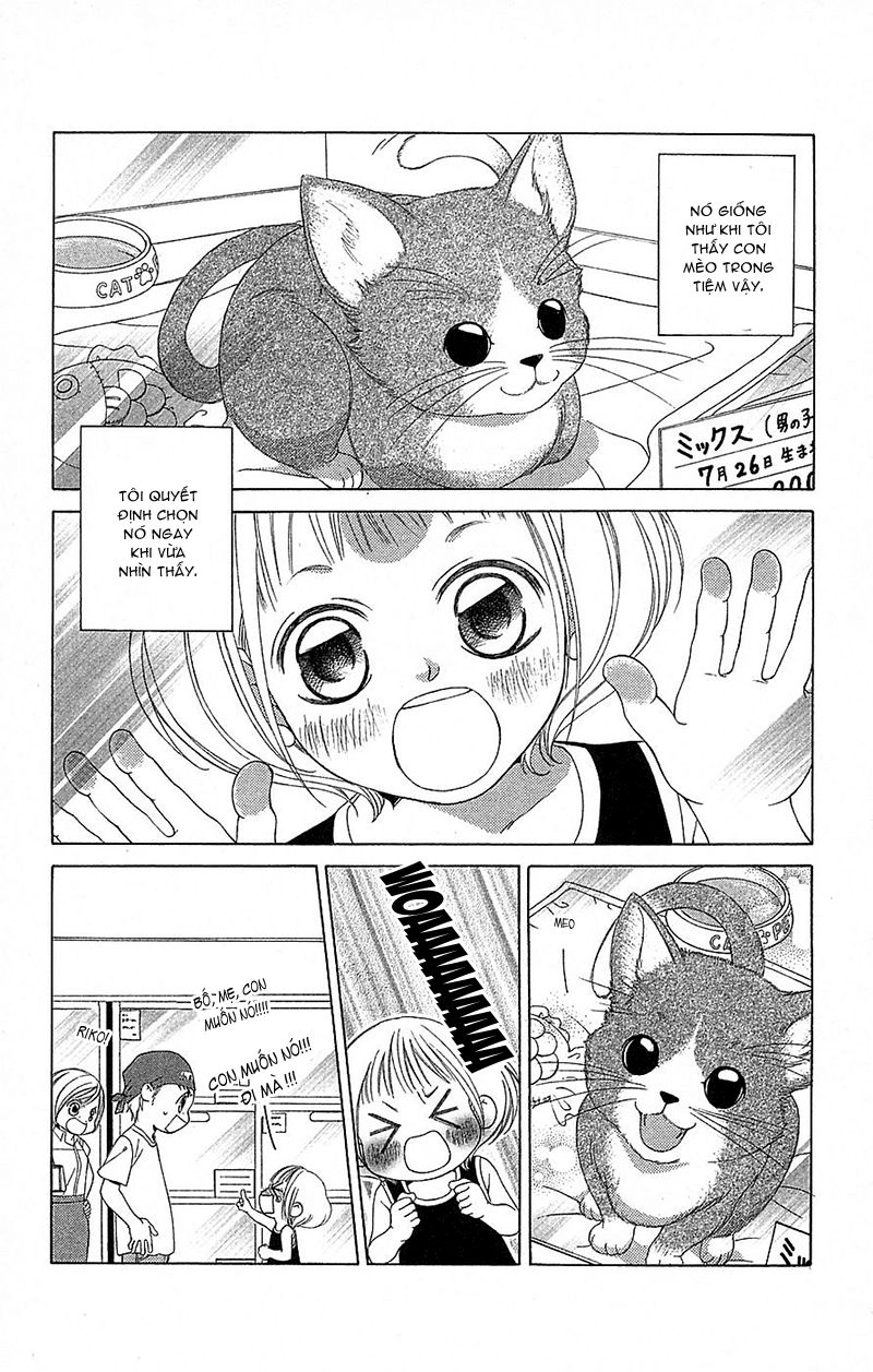 Bướm Trong Sương Mù Chapter 6 - 5