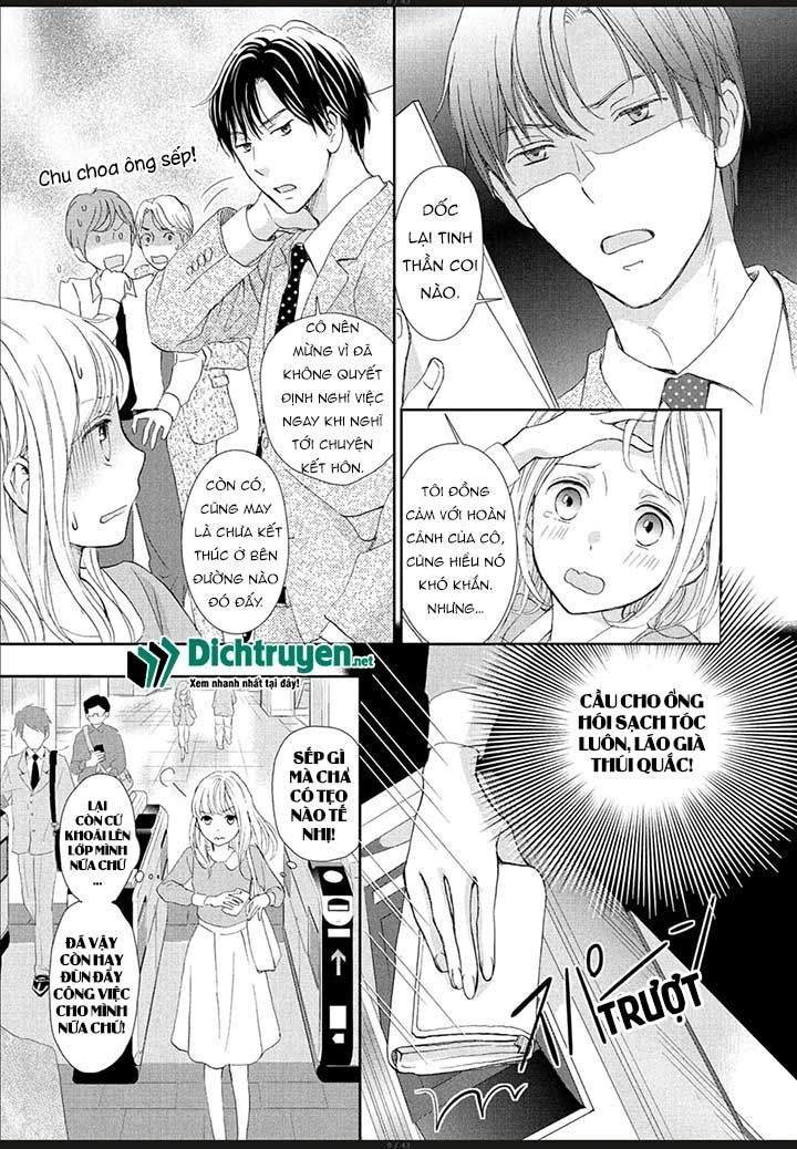 Cô Mèo Con Của Sếp Nhà Tôi Chapter 1 - 5