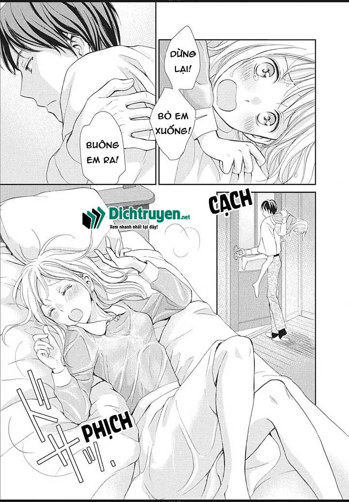 Cô Mèo Con Của Sếp Nhà Tôi Chapter 1 - 19