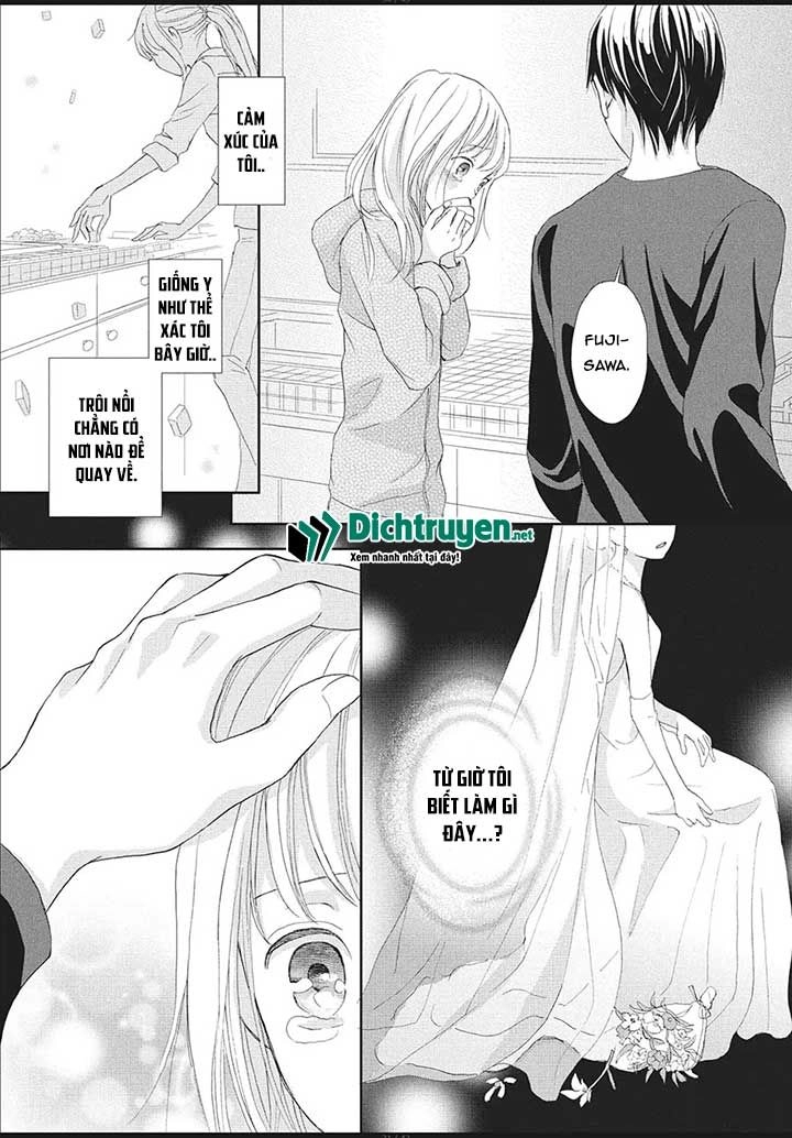 Cô Mèo Con Của Sếp Nhà Tôi Chapter 1 - 27