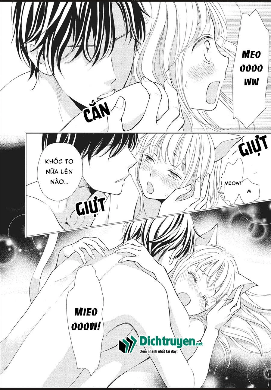 Cô Mèo Con Của Sếp Nhà Tôi Chapter 2 - 8