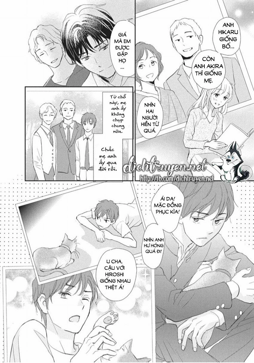 Cô Mèo Con Của Sếp Nhà Tôi Chapter 24 - 19