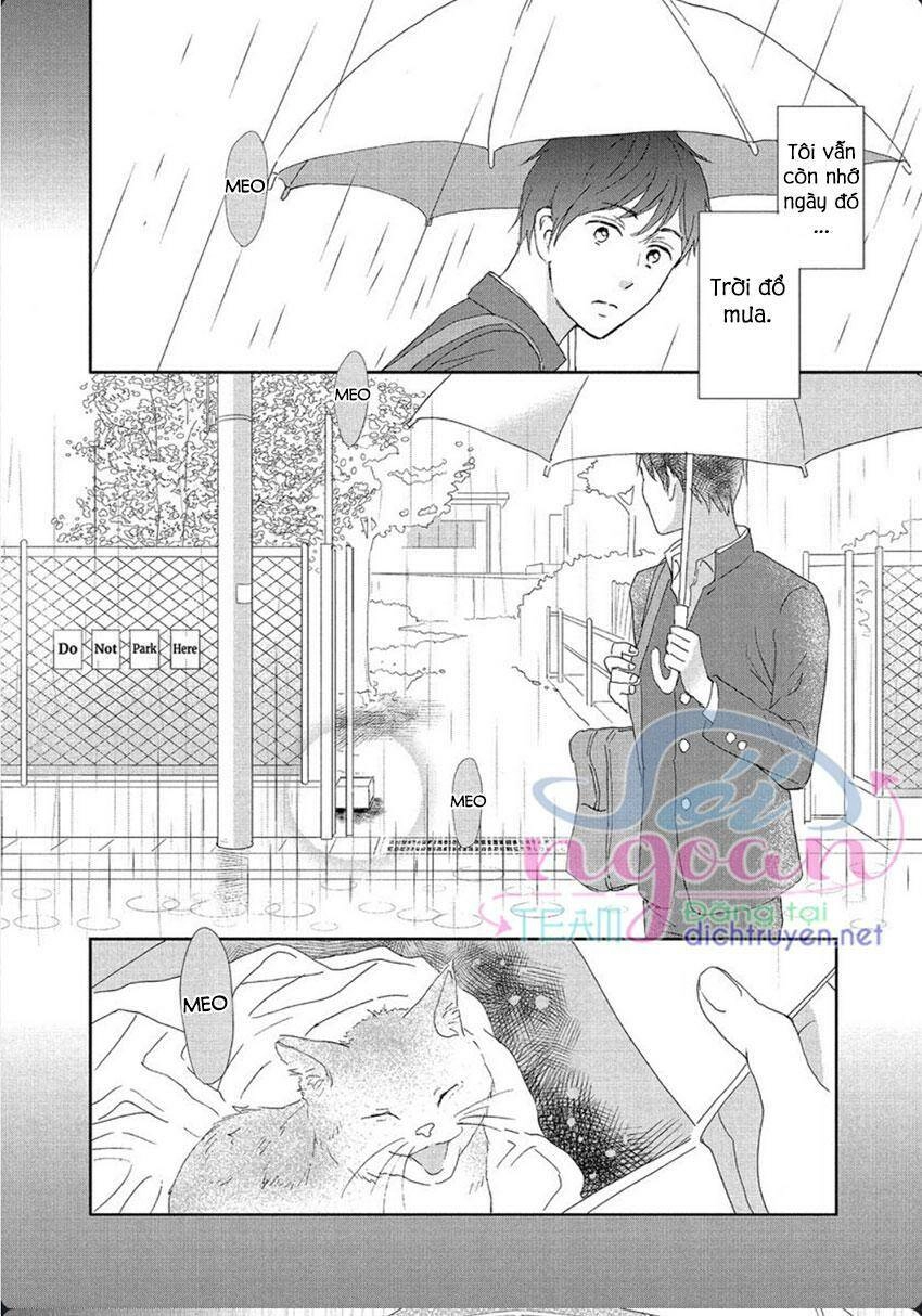 Cô Mèo Con Của Sếp Nhà Tôi Chapter 28 - 2