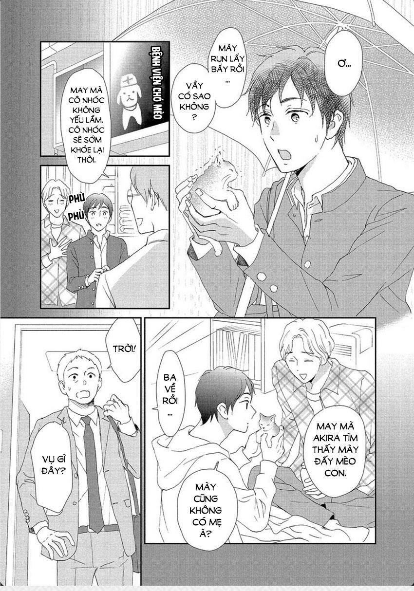 Cô Mèo Con Của Sếp Nhà Tôi Chapter 28 - 3