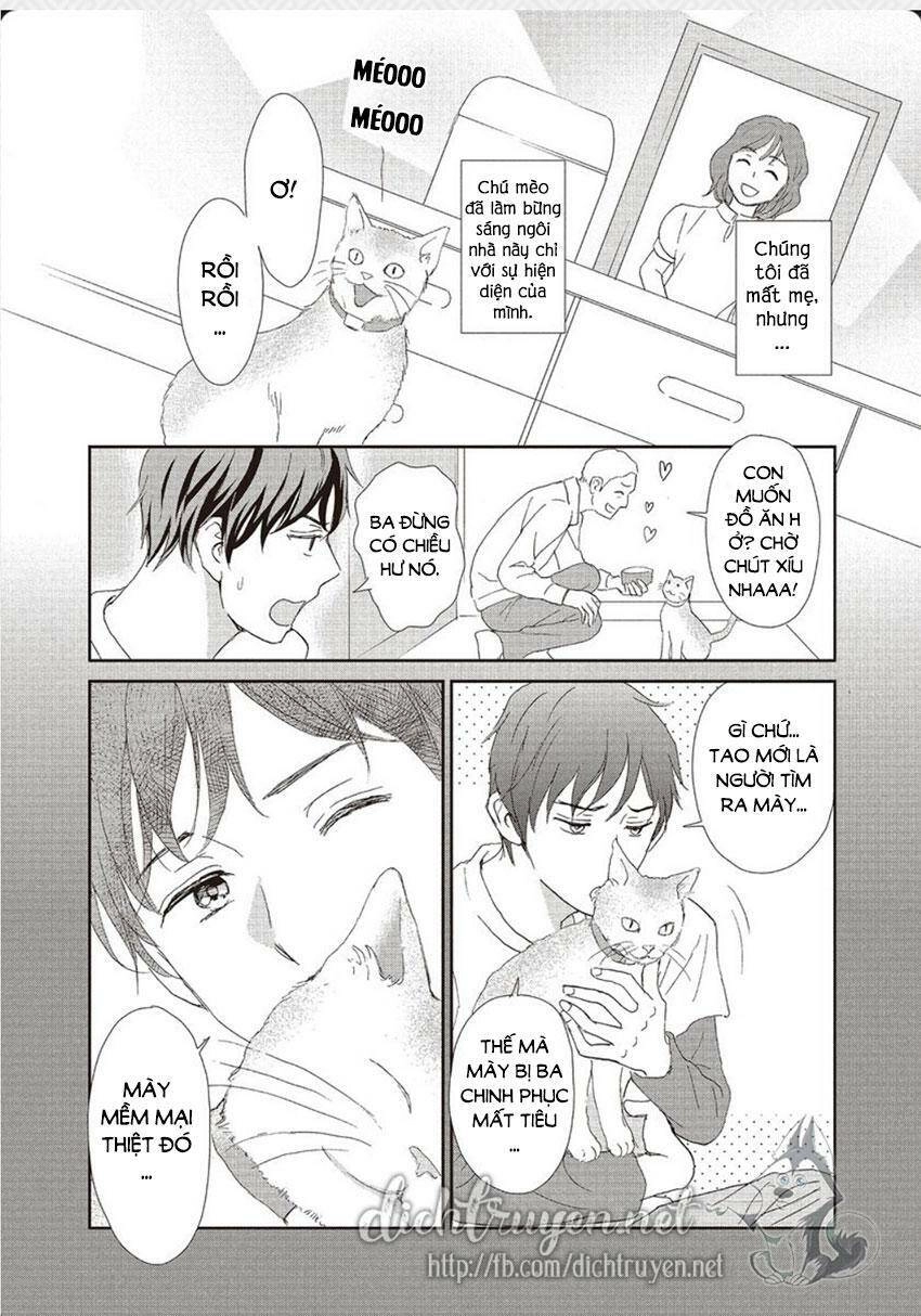 Cô Mèo Con Của Sếp Nhà Tôi Chapter 28 - 4