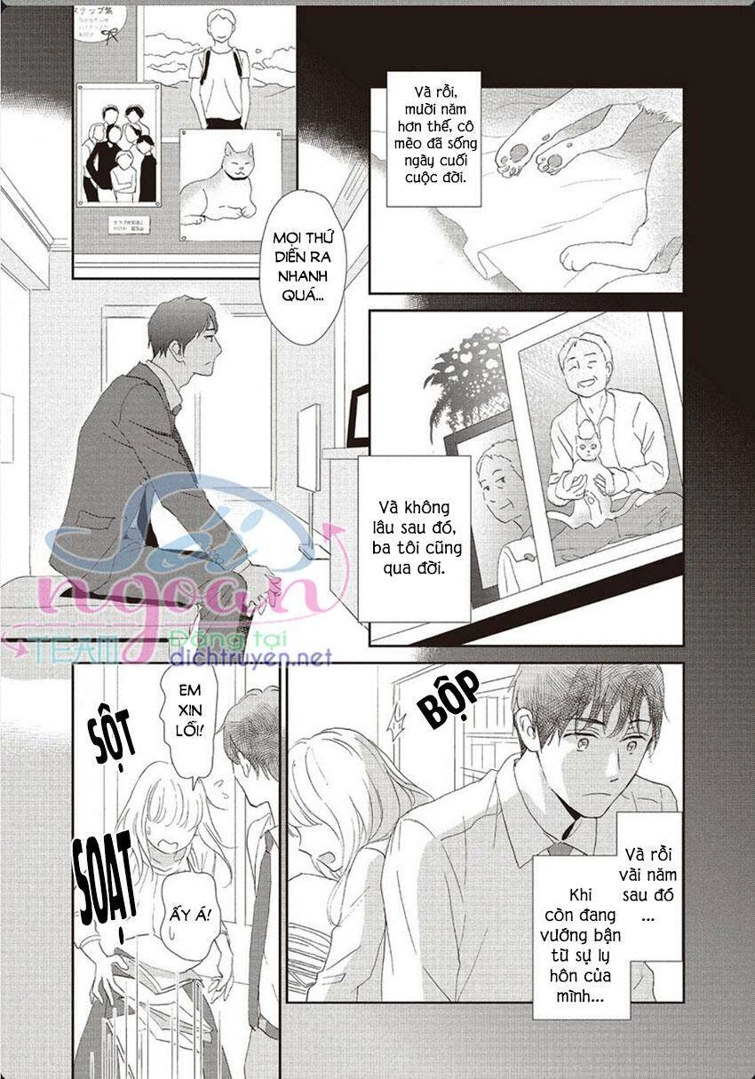 Cô Mèo Con Của Sếp Nhà Tôi Chapter 28 - 5