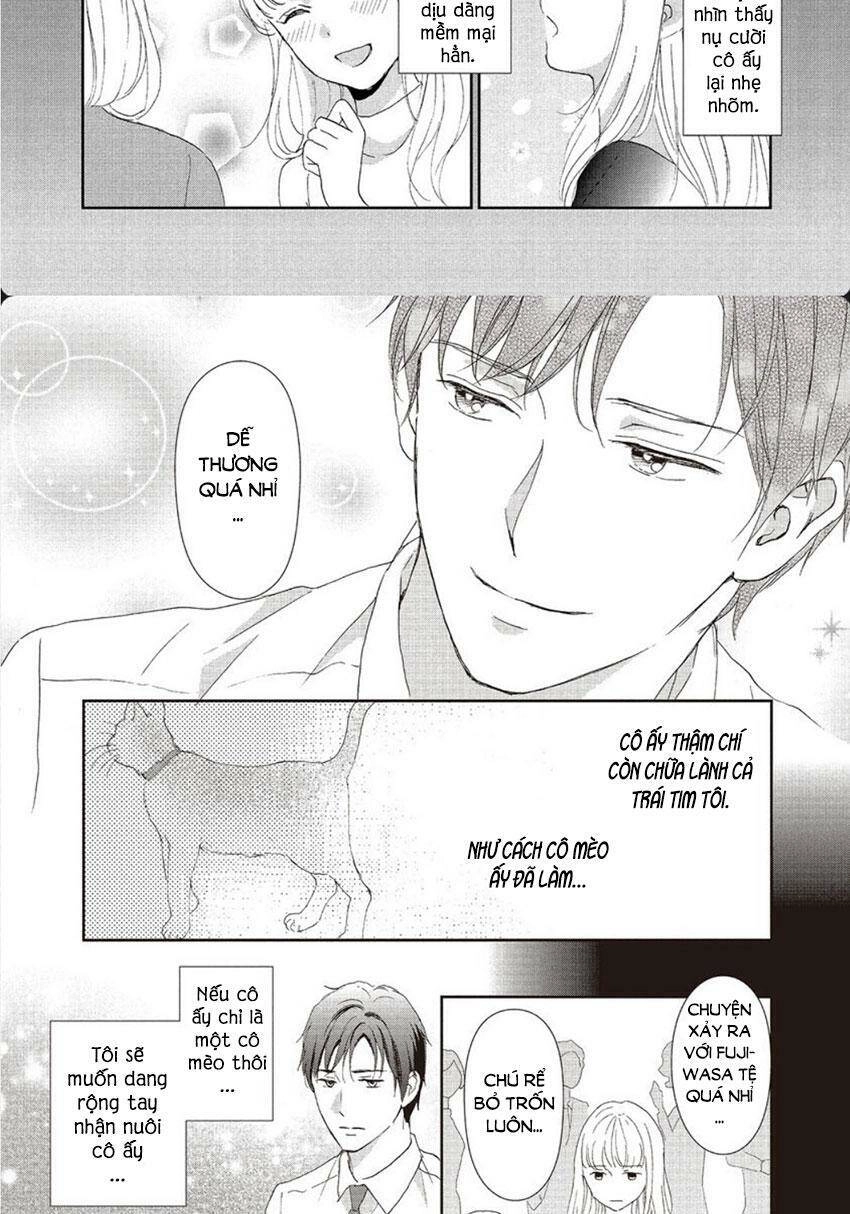 Cô Mèo Con Của Sếp Nhà Tôi Chapter 28 - 7