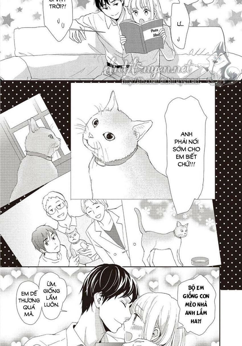 Cô Mèo Con Của Sếp Nhà Tôi Chapter 28 - 11