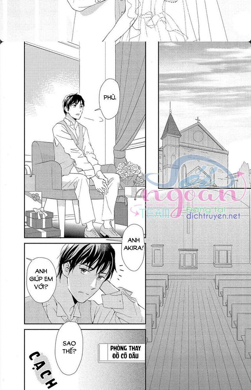 Cô Mèo Con Của Sếp Nhà Tôi Chapter 28 - 20