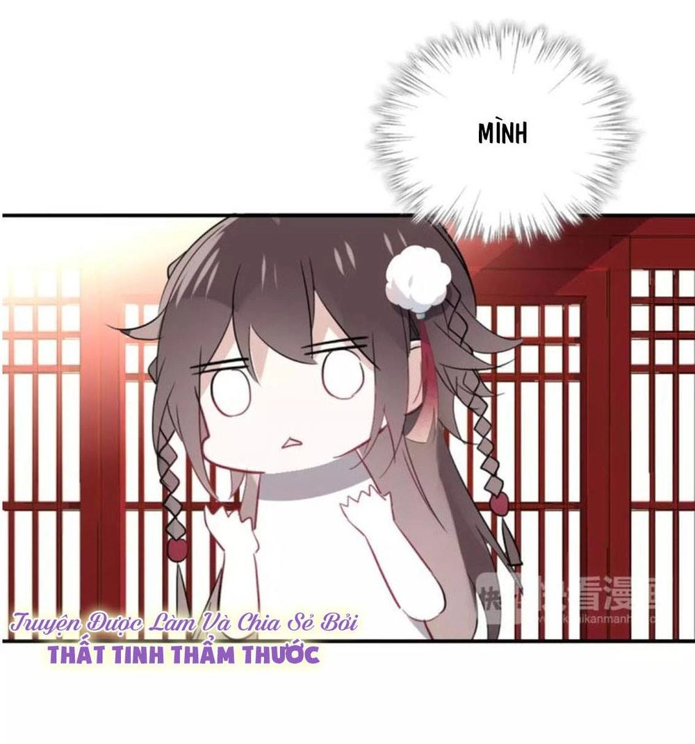 Ngô Hoàng Tại Thượng Chapter 2 - 36