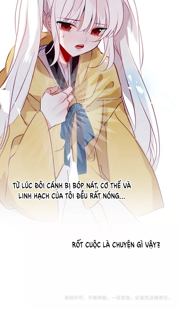 Ngô Hoàng Tại Thượng Chapter 86 - 42