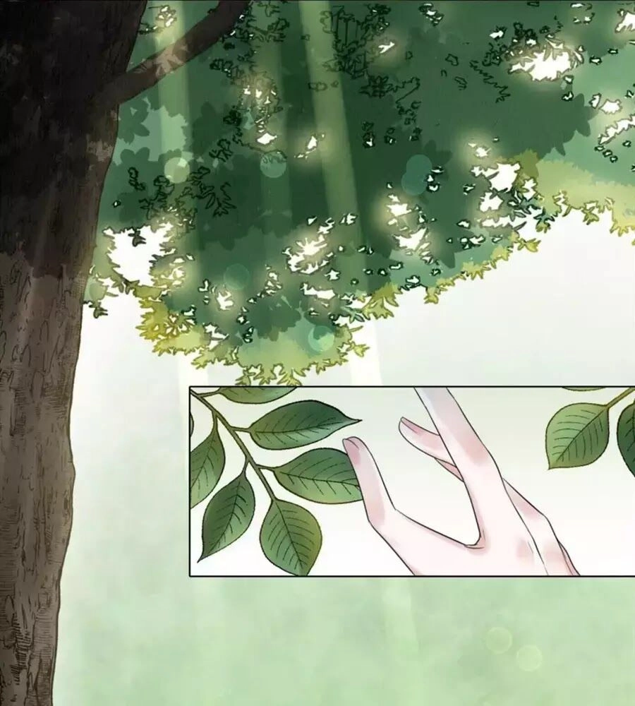 Yêu Long Đại Nhân Của Ta Chapter 3 - 11