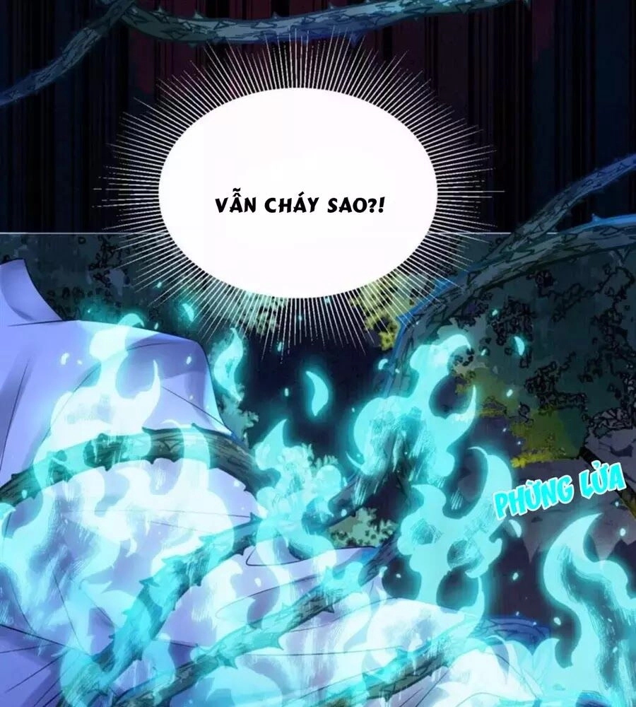 Yêu Long Đại Nhân Của Ta Chapter 5 - 12