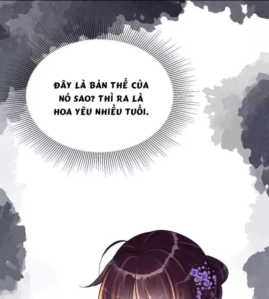 Yêu Long Đại Nhân Của Ta Chapter 5 - 31