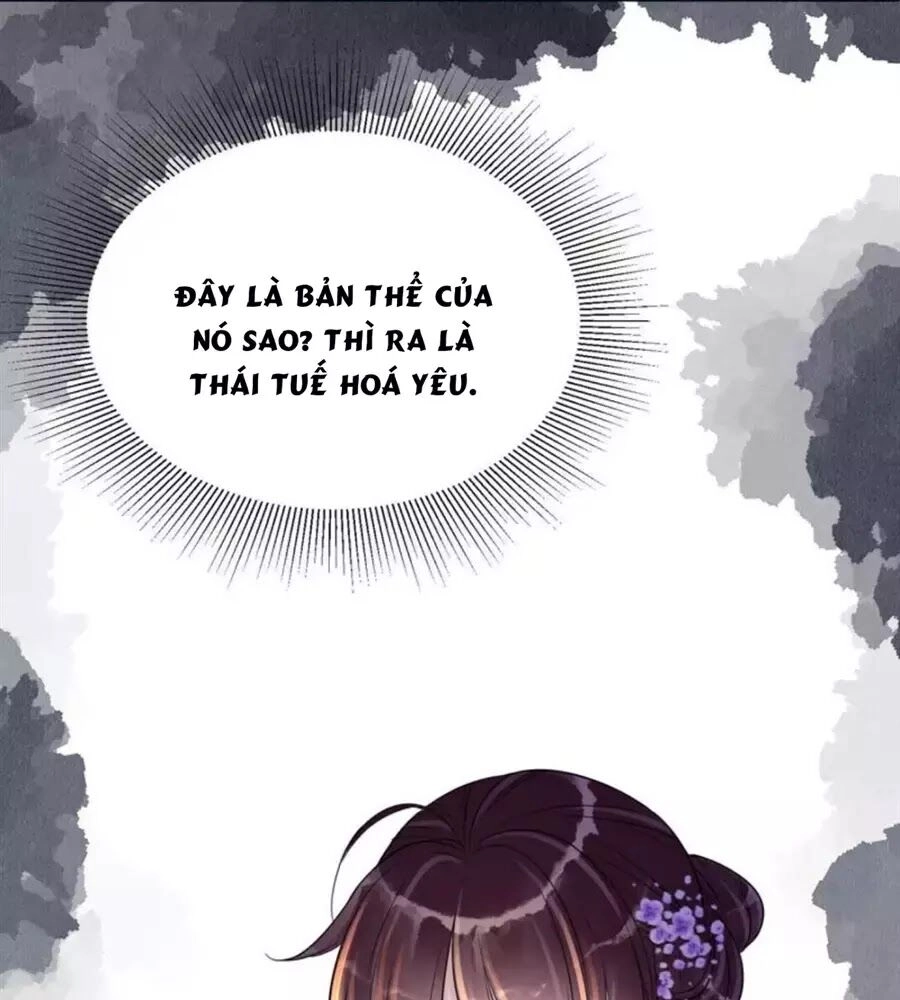 Yêu Long Đại Nhân Của Ta Chapter 5 - 33