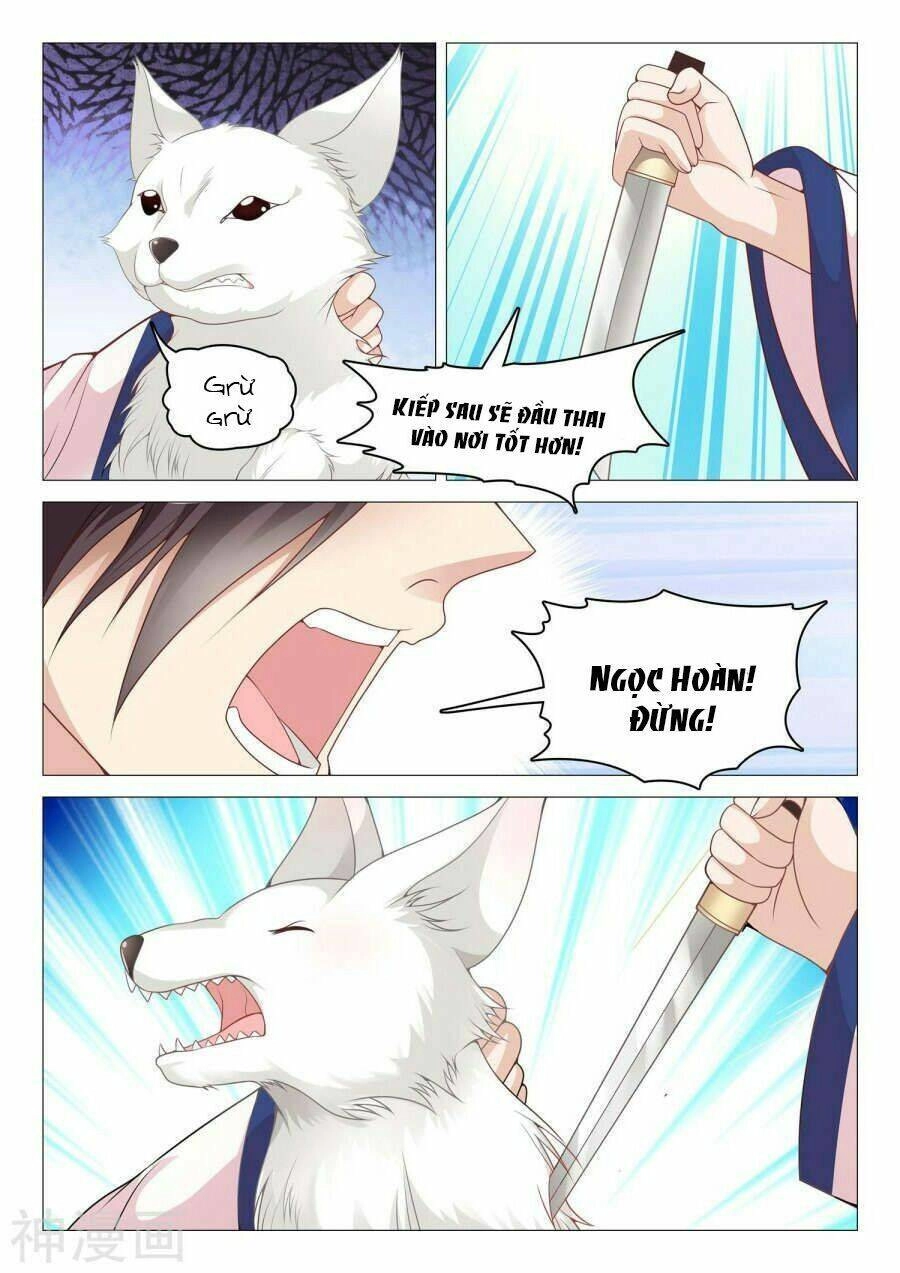 Dương Quý Phi Là Lính Đặc Chủng Chapter 42 - 4