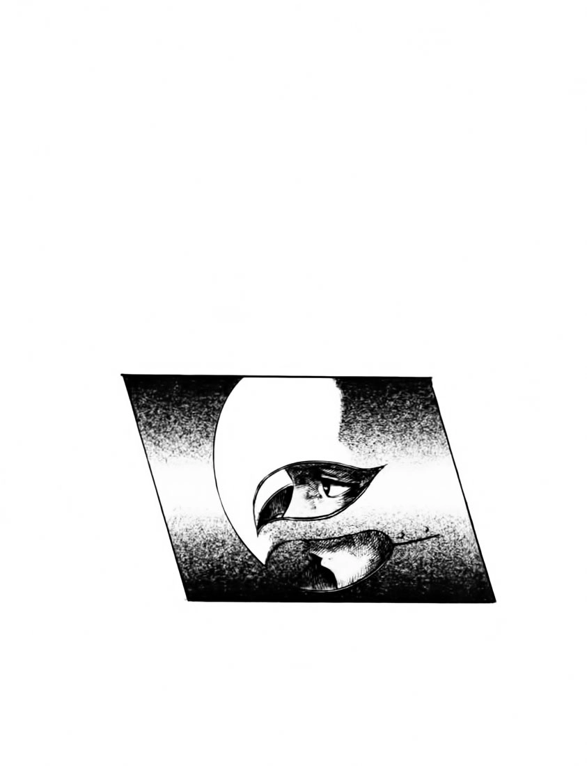 Kiếm Sĩ Đen Chapter 80 - 3