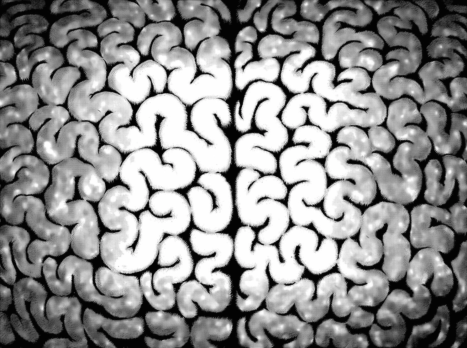 Kiếm Sĩ Đen Chapter 311 - 14